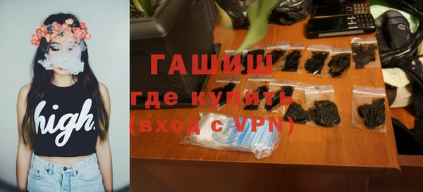 шишки Горняк
