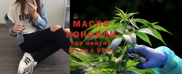 шишки Горняк