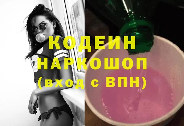 шишки Горняк