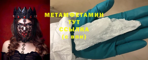 шишки Горняк