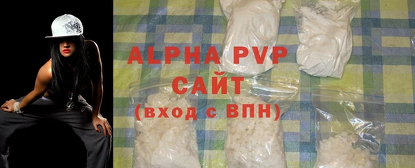 шишки Горняк