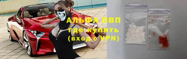 шишки Горняк