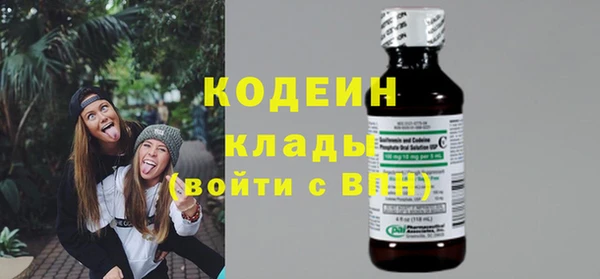 шишки Горняк