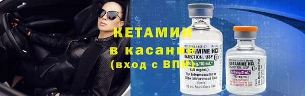 шишки Горняк