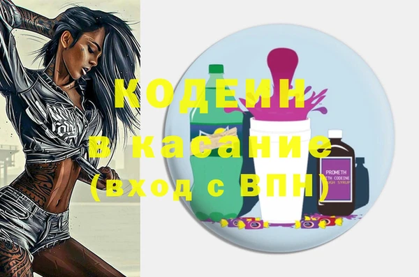 шишки Горняк