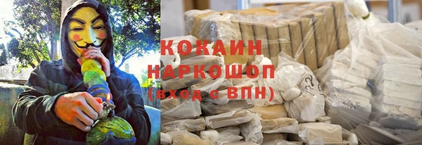 гидропоника Горнозаводск