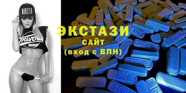 шишки Горняк