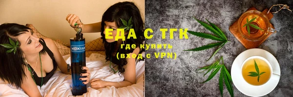 шишки Горняк
