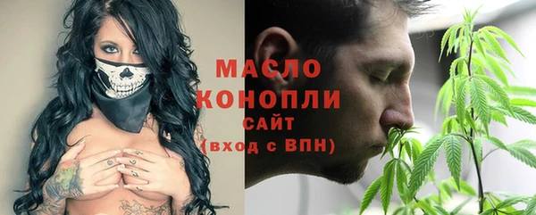 гидропоника Горнозаводск