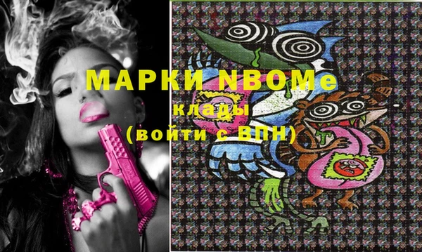 шишки Горняк