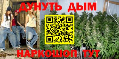 прущие грибы Гатчина