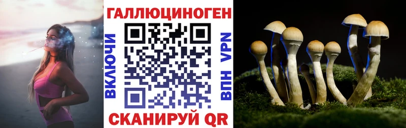 закладка  Гай  KRAKEN зеркало  Псилоцибиновые грибы прущие грибы 