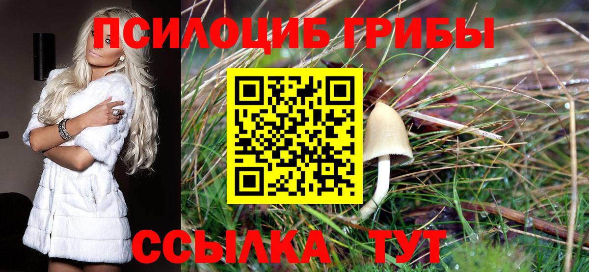 Псилоцибиновые грибы Magic Shrooms Гай
