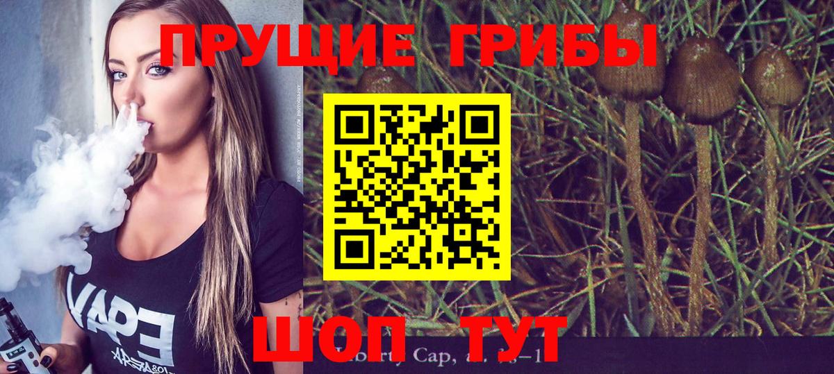 Галлюциногенные грибы Psilocybe  Гай 