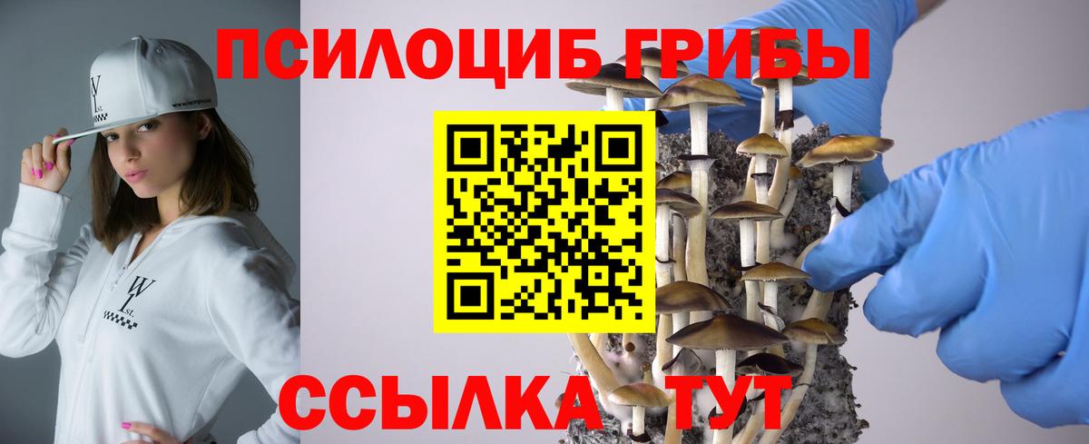 Псилоцибиновые грибы Psilocybine cubensis Гай