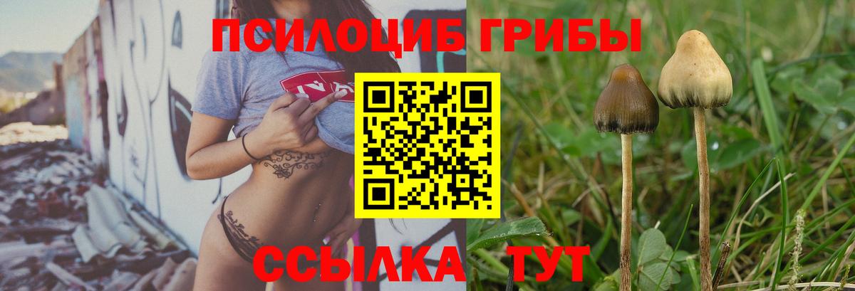 Псилоцибиновые грибы GOLDEN TEACHER  Псилоцибиновые грибы мицелий  Гай  Вход с VPN 