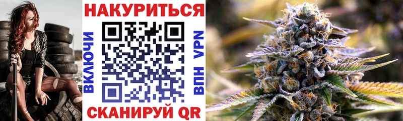 Каннабис OG Kush Гай