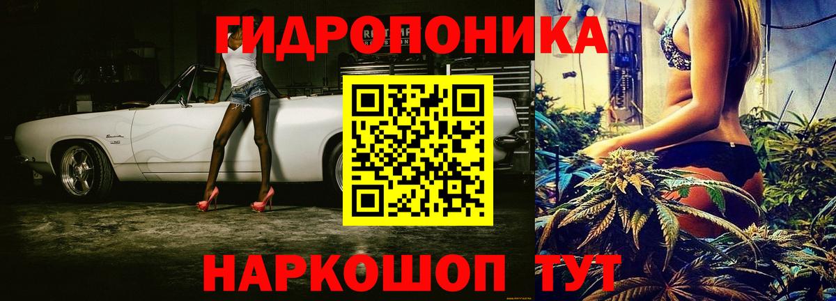 Каннабис индика Гай
